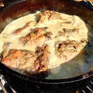 Rabbit in white wine sauce